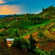 טיול לרואנדה