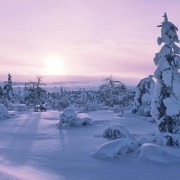 טיול מאורגן לפינלנד