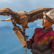 נווד קירגזי עם עיט. אחת משיטות הציד העתיקות בקירגיזסטן היא ציד באמצעות עופות דורסים.