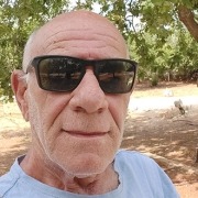 מיכאל דימון מדריך טיולים