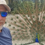 ישראל בכר מדריך